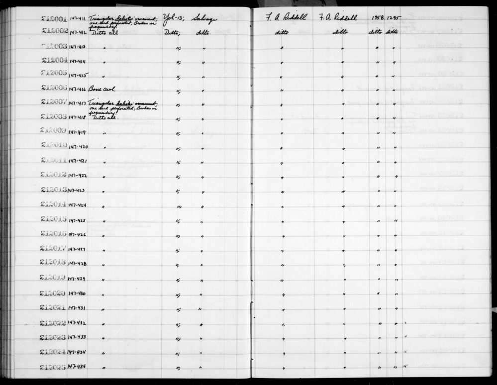 Documentation associated with Hearst Museum object titled Shell fragment, accession number 1-212005, described as Triangular haliotis; one end perforated; broken or fragmentary.