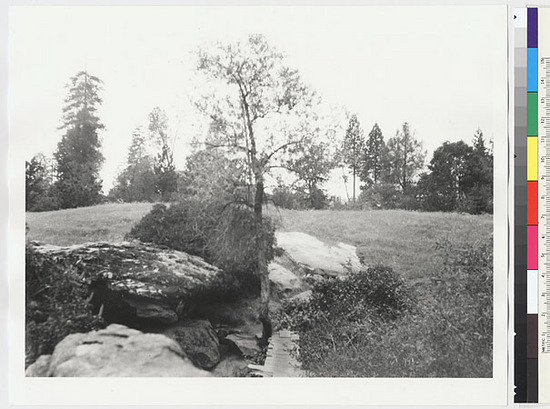 Hearst Museum object titled Black-and-white negative, accession number 15-7123, described as Eyeyaku site from east side of Turnback Creek