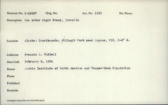 Documentation associated with Hearst Museum object titled Mammal bone, accession number 2-35367, described as Sea otter right femur, juvenile