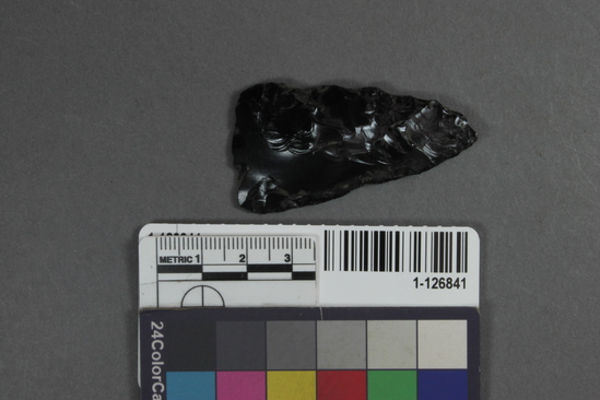 Hearst Museum object titled Projectile point, accession number 1-126841, described as Obsidian projectile point.