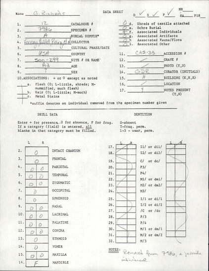 Documentation associated with Hearst Museum object titled Human and faunal remains, accession number 12-7986+A, described as Two individuals. 1st: Incomplete skeleton, age 8, sex unknown. 2nd: Miscellanous bones, adult, sex unknown. One faunal bone.