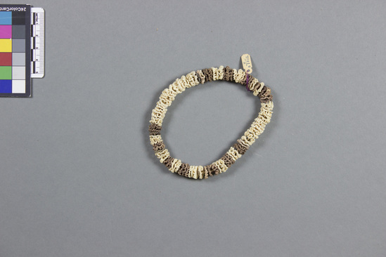 Hearst Museum object titled Bracelet, accession number 11-37012, described as Coral strung as bracelet with vegetable fiber, and brown and white discs.