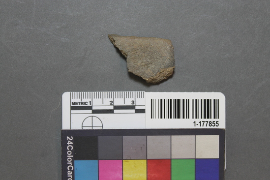 Hearst Museum object titled Potsherd, accession number 1-177855, described as Rim.