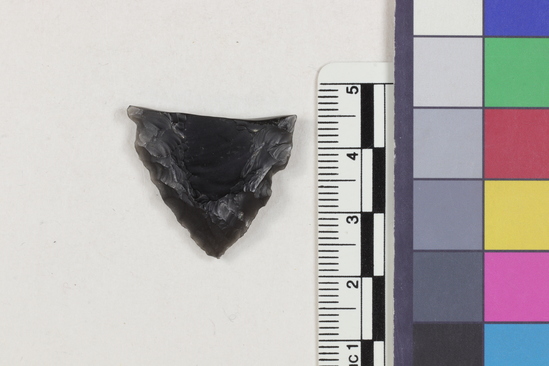 Hearst Museum object titled Flake, accession number 16-14389, described as Projectile point fragment; obsidian; triangular; weight: 2.92 grams; length: 2.3 cm; width: 2.65 cm; depth: 0.5 cm; slight convex sides; slight concave, thinned base.