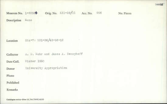 Documentation associated with Hearst Museum object titled Mano fragment, accession number 1-88904, described as Mano fragment.