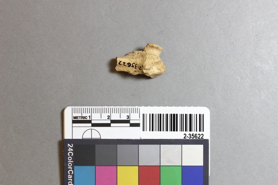 Hearst Museum object titled Mammal bone, accession number 2-35622, described as Sea otter fibula; fragment