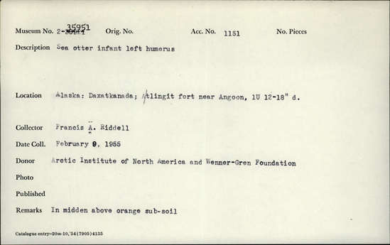 Documentation associated with Hearst Museum object titled Mammal bone, accession number 2-35951, described as Sea otter, infant, left humerus.