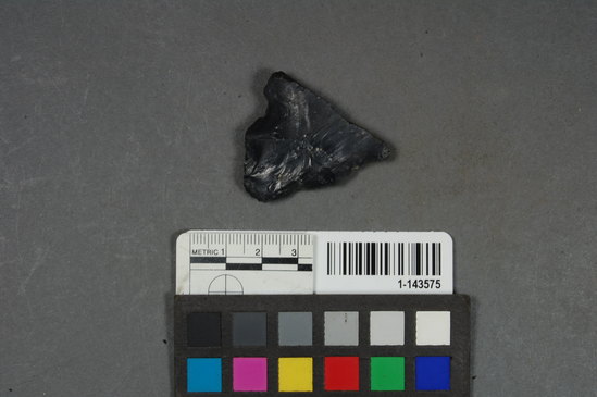 Hearst Museum object titled Blade fragment, accession number 1-143575, described as Obsidian.