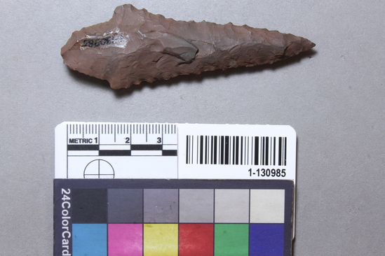 Hearst Museum object titled Point, accession number 1-130985, described as Chert point.