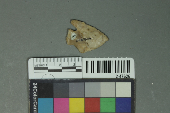 Hearst Museum object 2 of 2 titled Projectile point, accession number 2-47626, described as Projectile point; corner notched; chert; white; retouched; length 2.9 cm, width 2.1 cm; weight 3.1 grams.