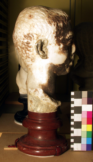 Hearst Museum object 2 of 6 titled Statue fragment, accession number 8-4255, described as Stained head of Brutus. Nose restored. Marble glazed by cleaning with acid