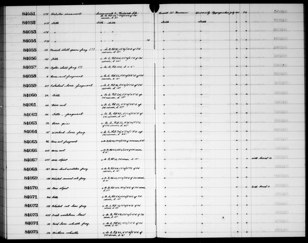 Documentation associated with Hearst Museum object titled Shell fragment, accession number 1-84057, described as Oyster shell fragment (?)