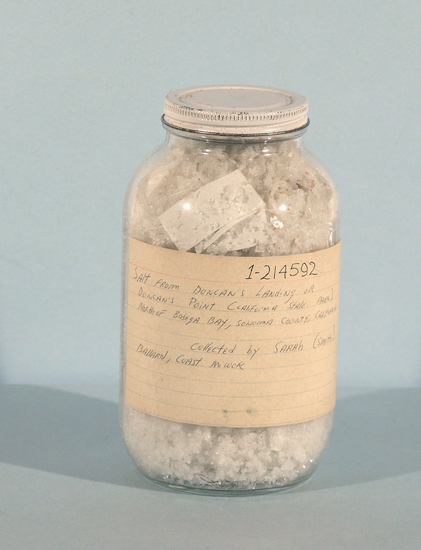 Hearst Museum object titled Salt, accession number 1-214592, described as Salt sample, one bottle; used for food preservation and flavoring