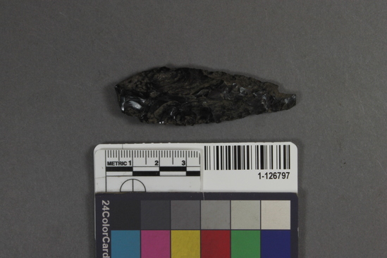 Hearst Museum object titled Projectile point fragment, accession number 1-126797, described as Obsidian projectile point fragment.