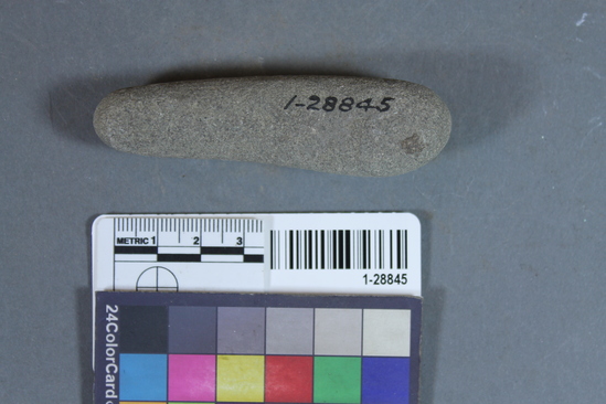 Hearst Museum object titled Pebble, accession number 1-28845, described as Elongate pebble perhaps used as a pestle.