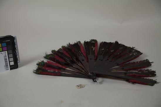 Hearst Museum object 2 of 2 titled Brisé fan, accession number 9-23700, described as Fan made of red feathers with green tips; dark brown tortoise-shell base.