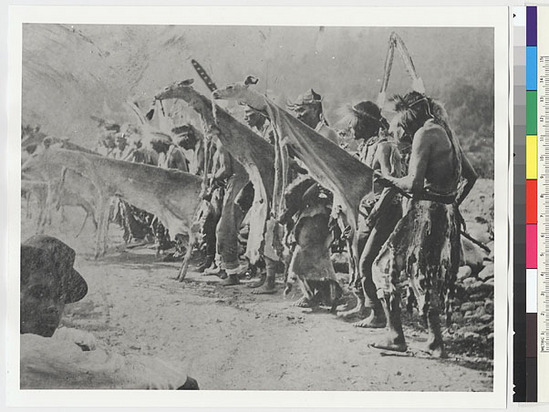 Hearst Museum object titled Black-and-white negative, accession number 15-13563, described as Panamenik deerskin dance in 1910