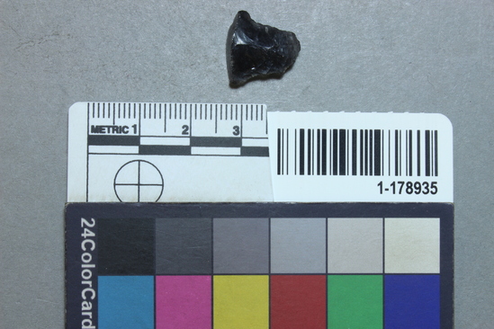 Hearst Museum object titled Projectile fragment, accession number 1-178935, described as Obsidian.
