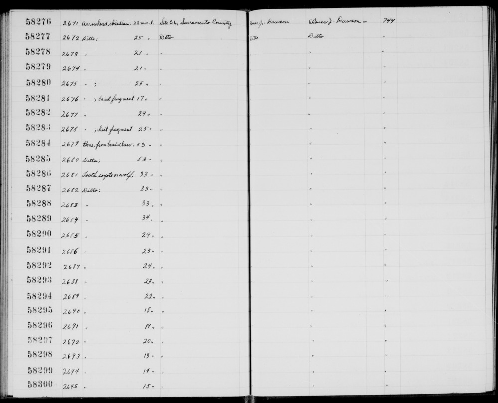 Documentation associated with Hearst Museum object titled Tooth, accession number 1-58289, described as Coyote or wolf