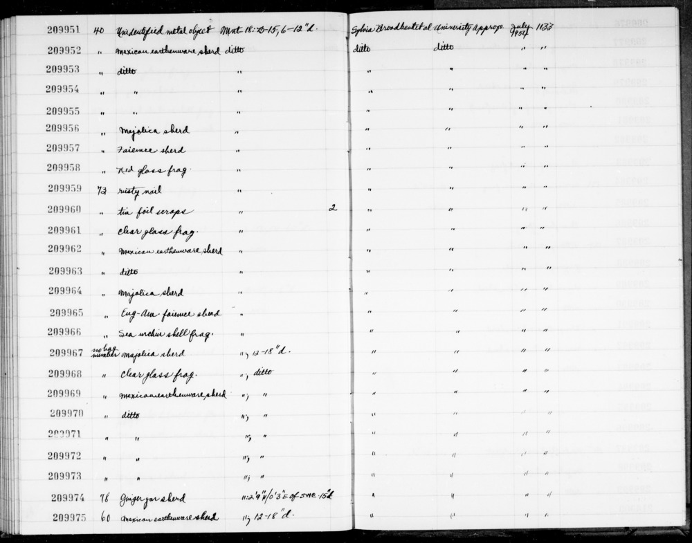 Documentation associated with Hearst Museum object titled Shell fragment, accession number 1-209966, described as Sea urchin shell fragment.