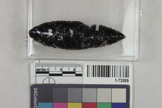 Hearst Museum object titled Point, accession number 1-73309, described as Obsidian point.