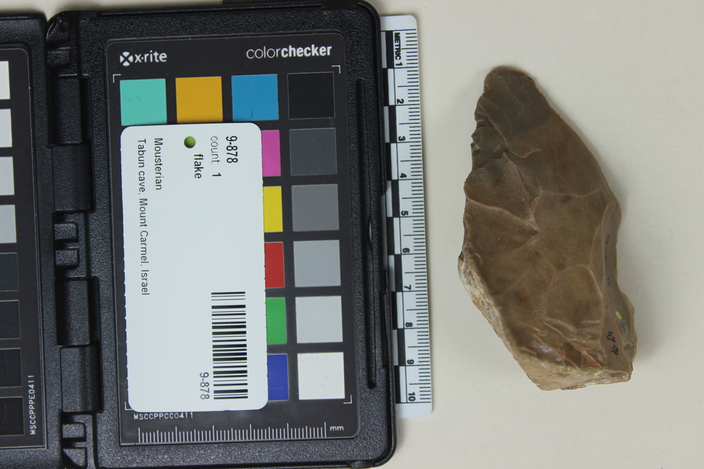 Hearst Museum object 2 of 2 titled Flake, accession number 9-878, described as Acheuleo-Mousterian flint