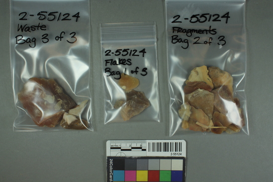 Hearst Museum object titled Flakes, accession number 2-55124, described as 3 bags chert debris