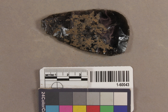 Hearst Museum object 2 of 3 titled Projectile point, accession number 1-60043, described as arrowpoint, obsidian