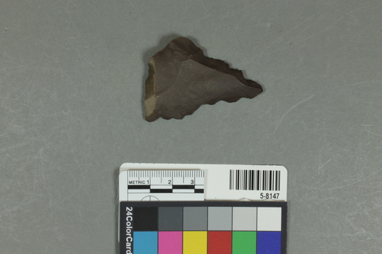 Hearst Museum object titled Flake, accession number 5-8147, described as prismatic flake; triangular outline; denticulate flaking; L 5.3cm