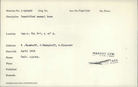 Documentation associated with Hearst Museum object titled Faunal remains, accession number 1-156022, described as Unmodified, mammal.