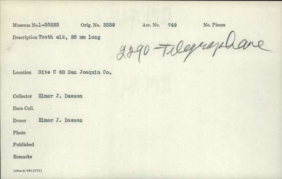 Documentation associated with Hearst Museum object titled Tooth, accession number 1-55223, described as Elk tooth.