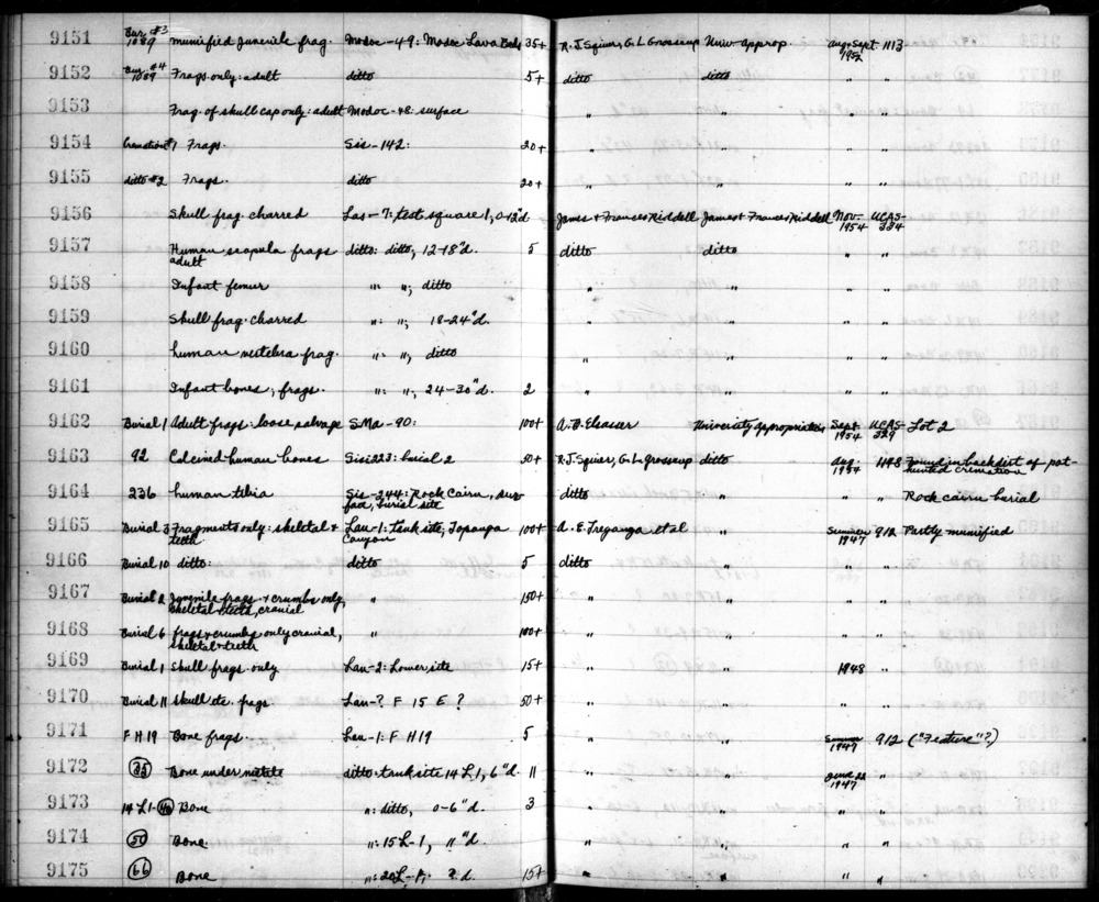 Documentation associated with Hearst Museum object titled Shell, accession number 12-9163.1, described as Shell and stone fragments Notice: Image restricted due to its potentially sensitive nature. Contact Museum to request access.