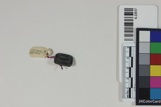 Hearst Museum object 20 of 22 titled Amulets, accession number 6-22037, described as amulets, of blue faience, and one pyramidal seal of steatite