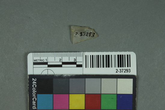 Hearst Museum object titled Projectile point fragment, accession number 2-37293, described as Chert projectile point; fragment.