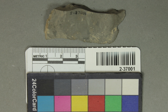 Hearst Museum object titled Flake, accession number 2-37001, described as Small flake scraper; chert