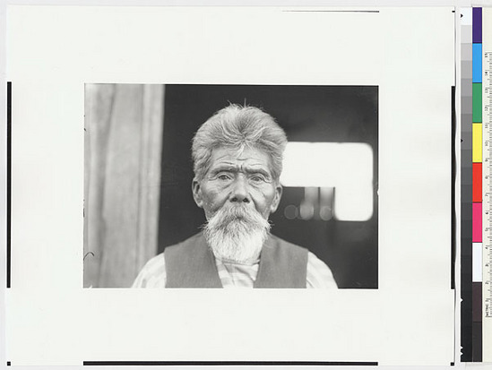 Hearst Museum object titled Black-and-white negative, accession number 15-5907, described as Tom Williams, full face