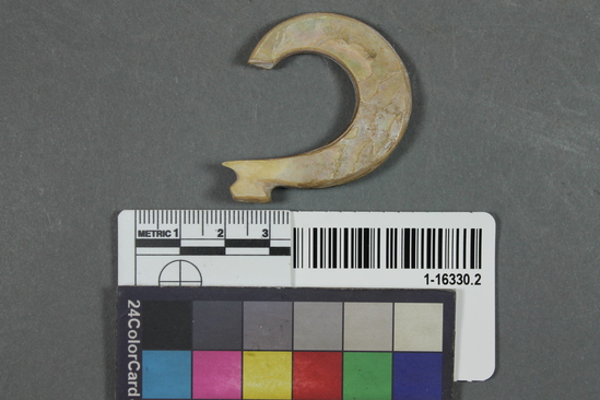 Hearst Museum object titled Fishhook, accession number 1-16330.2, described as Shell fishhook, Gifford type AT2cV