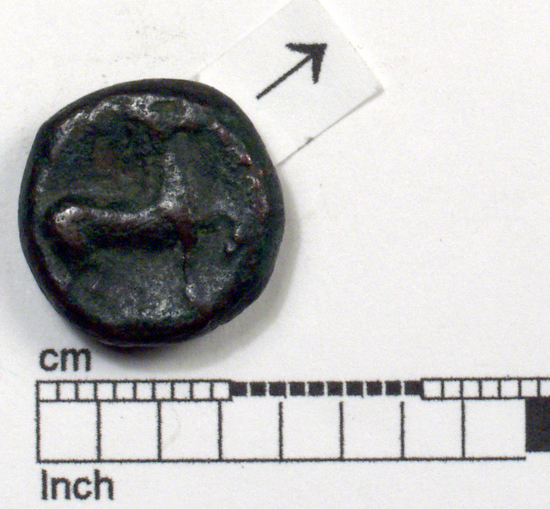 Hearst Museum object 2 of 6 titled Coin: æ, accession number 8-5893, described as Coin; Æ; bronze issue; size: 13.9 mm.; weight: 4.44 gm. Obverse: Bust of Artemis? (Latin: Diana) facing left, wearing earring and necklace; hair in knot behind. Reverse: Free horse standing facing right, left fore-leg raised: plain border.