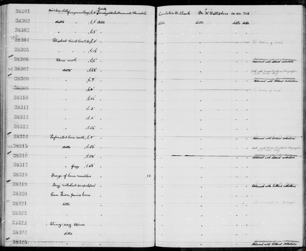 Documentation associated with Hearst Museum object titled Awl, accession number 1-38306, described as bone; 6