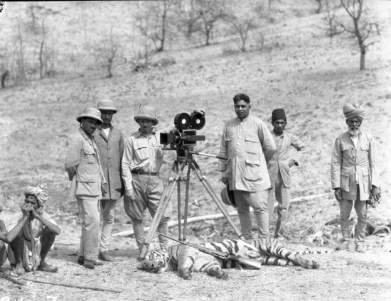 Hearst Museum object titled Black-and-white negative, accession number 15-30487, described as 4 x 5" Black and white negative of Hoefler and his expedition posing with a dead tiger and camera equipment.  Hoefler's original description: "Bhopal State, Central India. Paul L. Hoefler with the first tiger obtained in Central India near Kheri. Because of the density of the jungle and the wide area over which the tiger ranges, it requires an intimate knowledge of this cat's habits to be successful in photographing. It required months of preparation and weeks of hard work in a killing heat to obtain a few hundred feet of film picturing the tiger in his native jungle." Verso: Prints Supplied To: Socony-Vacuum Corporation. Bell & Howell.