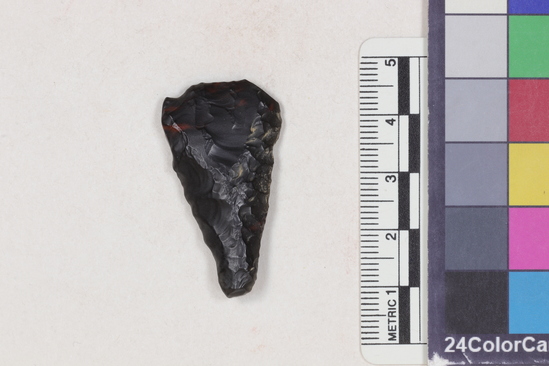 Hearst Museum object 1 of 2 titled Projectile point fragment, accession number 16-14316, described as Projectile point fragment; obsidian; triangular; weight: 4.6 grams; length: 3.8 cm; width: 2.1 cm; depth: 0.7 cm; straight sides; convex, thinned base.