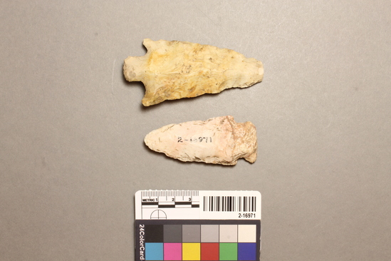 Hearst Museum object titled Projectile points, accession number 2-16971, described as Arrow points