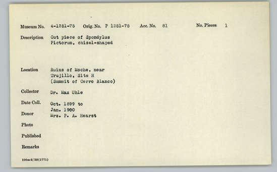 Documentation associated with Hearst Museum object titled Worked shell, accession number 4-1252, described as Cut piece of Spondylus pictorum, chisel-shaped.