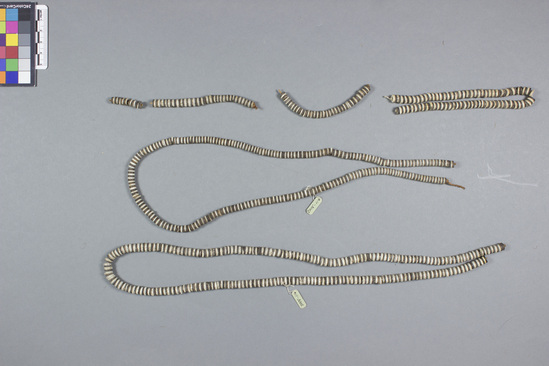 Hearst Museum object titled Seed and shell necklace, accession number 11-3002, described as Shell and coconut beads on sinnet string, black and white, about 5” long. 5 strands and 4 loose beads