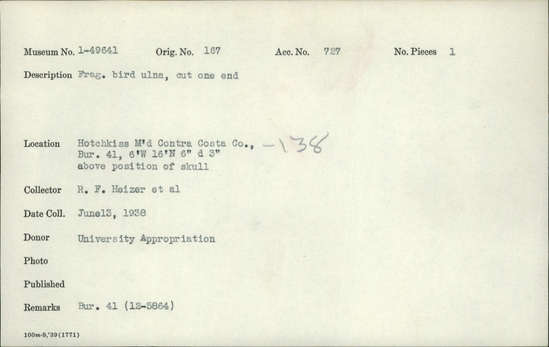 Documentation associated with Hearst Museum object titled Ulna fragment, accession number 1-49641, described as From bird, cut one end.