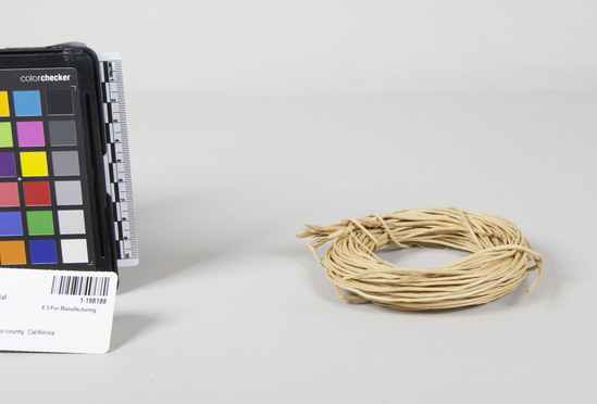 Hearst Museum object titled Basket material, accession number 1-198188, described as Basket material.  Root of white willow (Salix hindsiana, Benth). One coil.