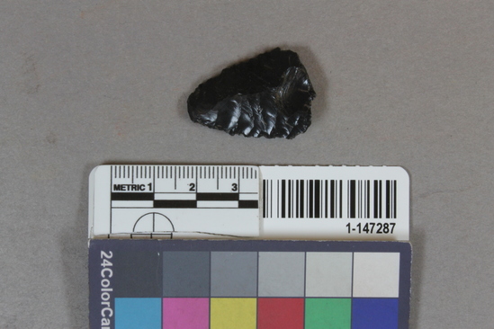 Hearst Museum object titled Projectile point, accession number 1-147287, described as Projectile point fragment.