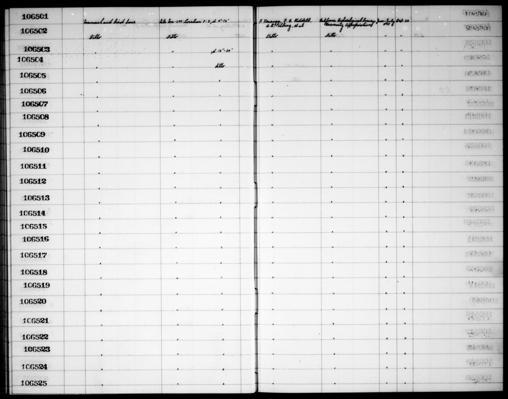 Documentation associated with Hearst Museum object titled Faunal remains, accession number 1-106514, described as Mammal and bird.