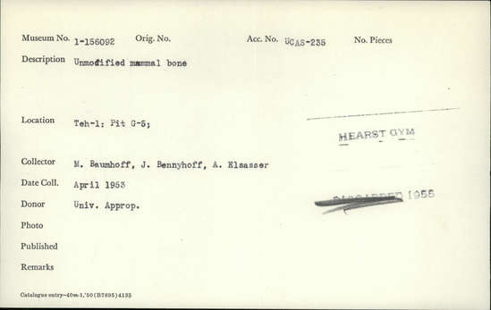 Documentation associated with Hearst Museum object titled Faunal remains, accession number 1-156092, described as Unmodified, mammal.
