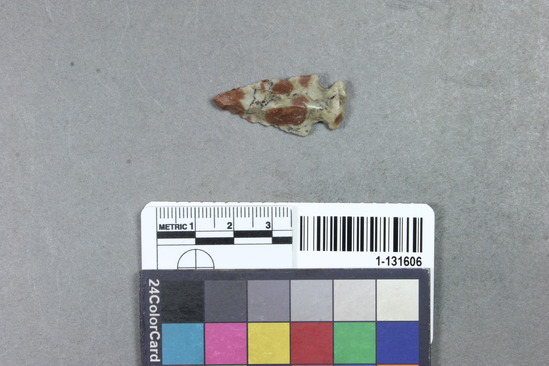 Hearst Museum object titled Point, accession number 1-131606, described as Chert point.